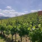 Caffarelli Apartamento