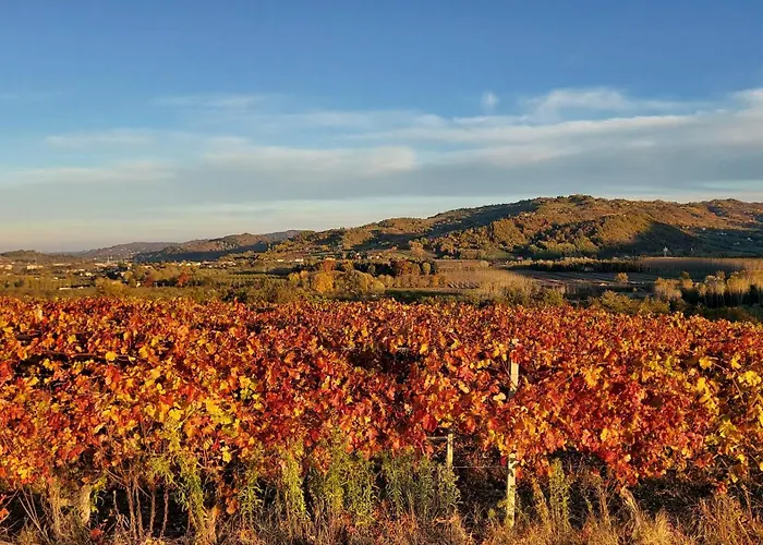 Caffarelli Appartement