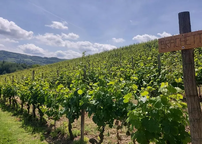 Caffarelli Appartement