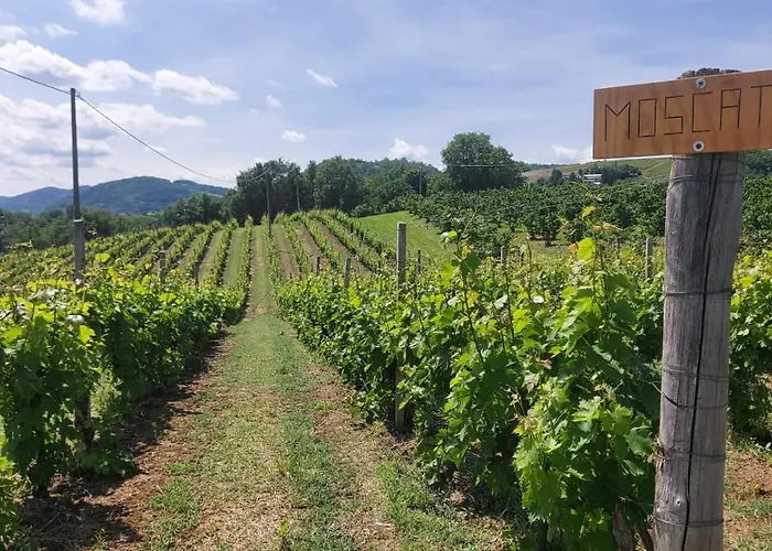 Caffarelli Appartement *